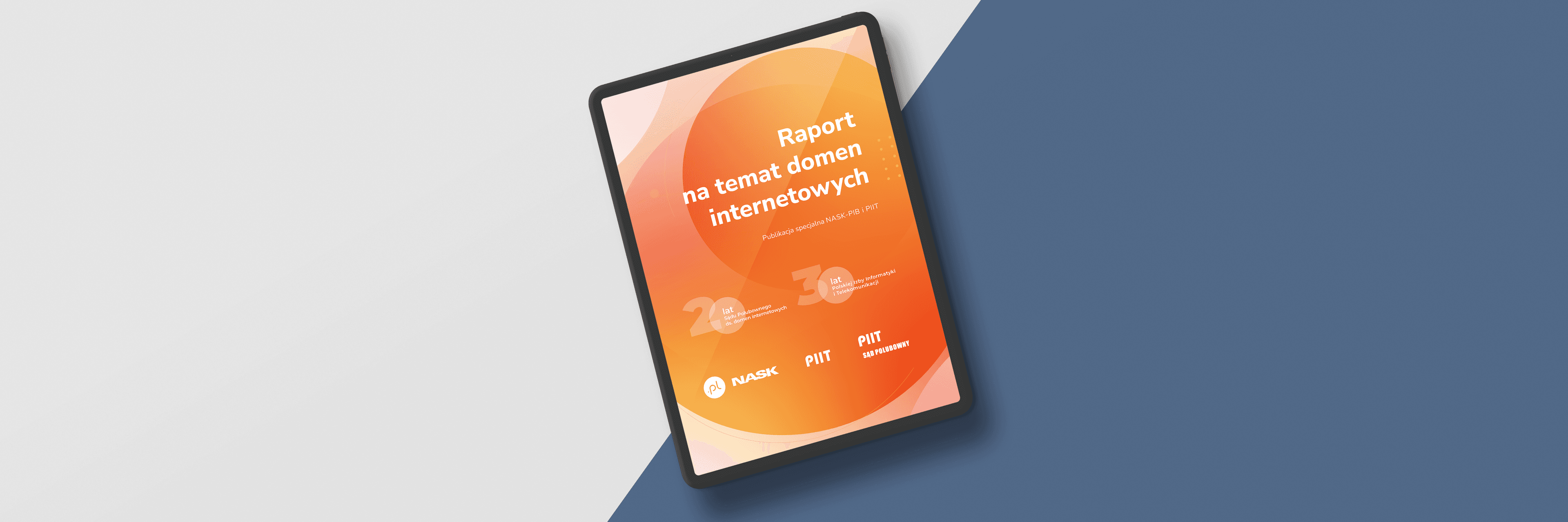 Grafika-Raport-Raport-na-temat-domen-internetowych-3x1