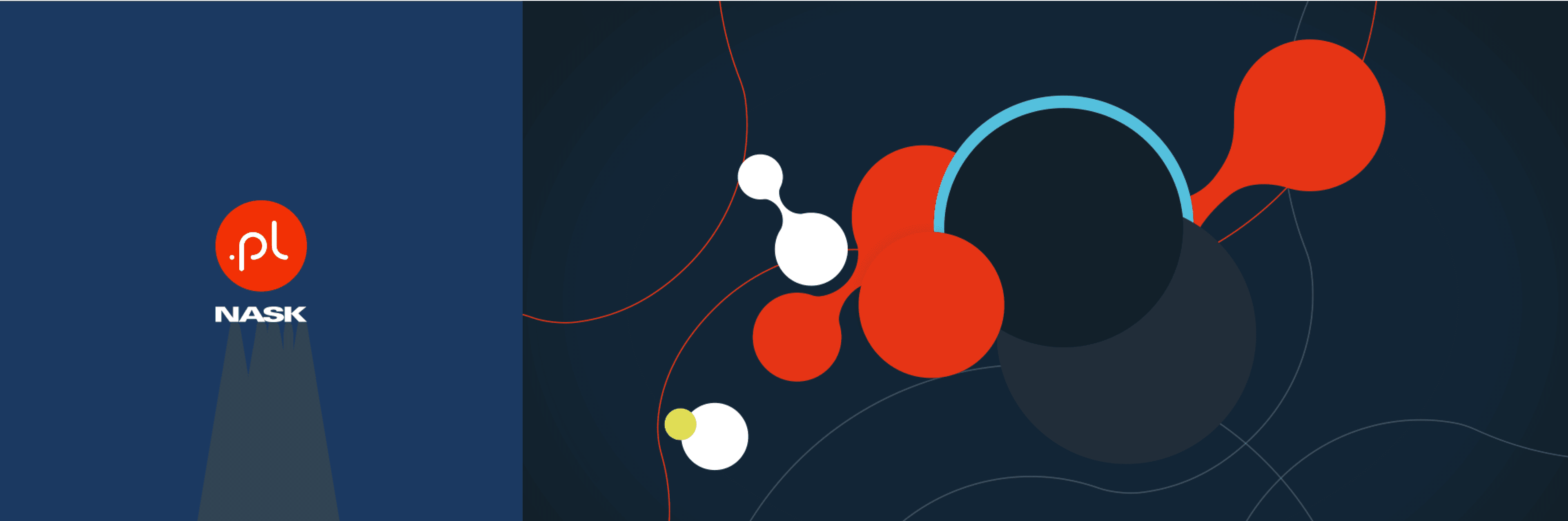 Grafika-dns-hero-3x1